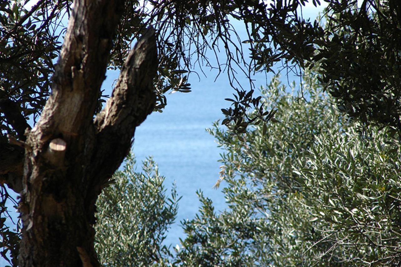 Luxury Bonbon Next To Banje Beach And Old Town, Great Location Dubrovnik Luaran gambar